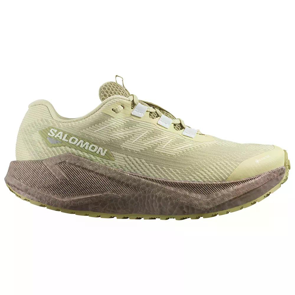 サロモン エアロ ブレイズ 3 GRVL GTX ランニングシューズ ウィメンズ （ GreenHaz...