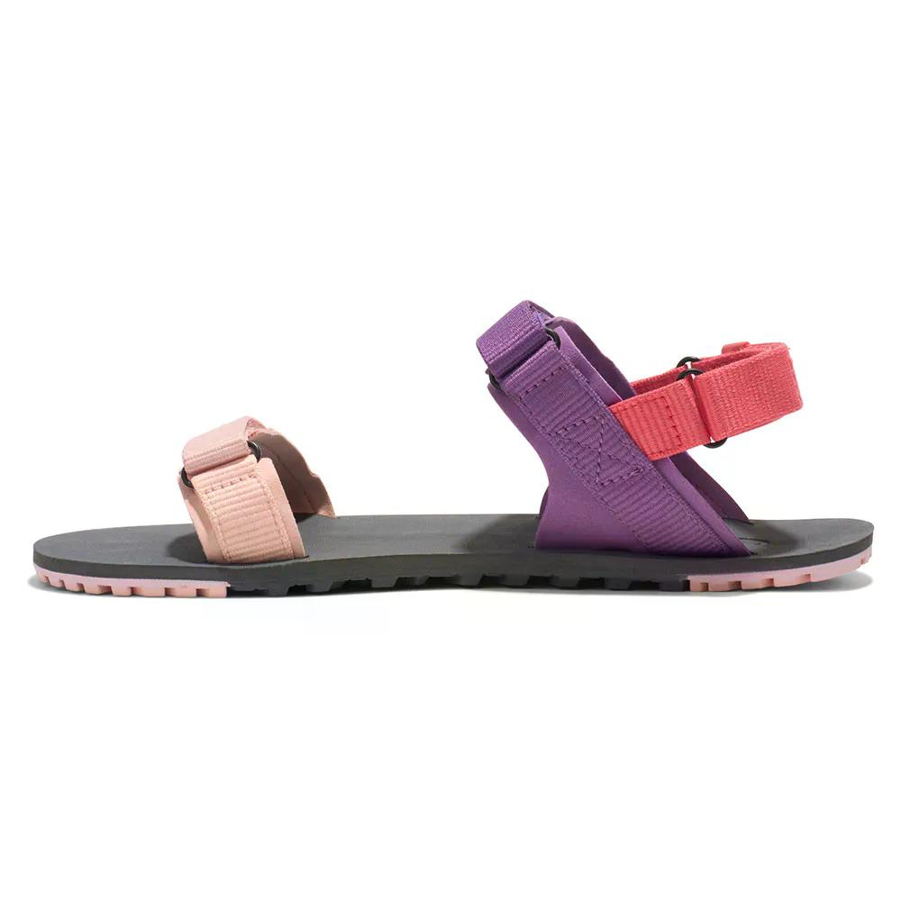 ゼロシューズ Dトレイル サンダル ウーマン （ DewberryMulti ） | XERO SHOES D-Trail Sandals woman [t]