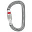 ペツル Am'D Screw-Lock ( Gray ) | PETZL Am'D Screw-Lock