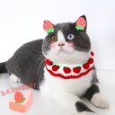 【期間限定→1,799円 6/11まで】超絶エモ可愛い ハロウィン仮装 猫用帽子 猫被り物 ライオン コスプレキャップ かぶりもの 着脱簡単 猫ライオンたてがみ ネコ帽子 耳付きペット服 ペット仮装 猫仮装 猫用犬用ウィッグ 猫の服 たてがみ ウィッグ 耳付き