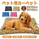 期間限定★48%OFF&P2倍で2,187円!9/11まで/ペット用 ホットカーペット 電気毛布 掛け 敷き 犬 猫 USB 3段階温度調節 電気掛敷毛布 電気掛毛布 電熱マット ブランケット 加熱パッド 25*35cm/35*45cm 寒さ対策 暖房器具 ふわふわ 洗える