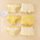 【期間限定→1,871円 6/27まで】パンツ 女の子 子供用 キッズ ベビー ガール 女児 インナー きれいめ オシャレ フルーツ柄 パイナップル かわいい 綿 柔らか トランクス ブリーフ パンツ ボクサー・パンツ 入園 入学 四季通用 子どもパンツ 3枚セット 可愛い 下着