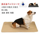 \期間限定 ★50%OFF&P10倍で1,020円!8/24まで/洗えるペットシーツ ペットシーツ 洗える 滑り止め ペット 消臭 ペット シーツ 洗える 丸ごと洗える 下敷きマット 四重構造 漏れ防止 速乾 滑り止め 小型 中型 大型 犬 猫 犬用 おしっこパッド 制菌 超吸収