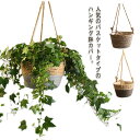 \期間限定 ★50%OFF&P10倍で1,544円!8/24まで/ハンギング 鉢カバー バスケット 観葉植物 室内 植物 おしゃれ ハンギングポット 鉢 ハンギ...