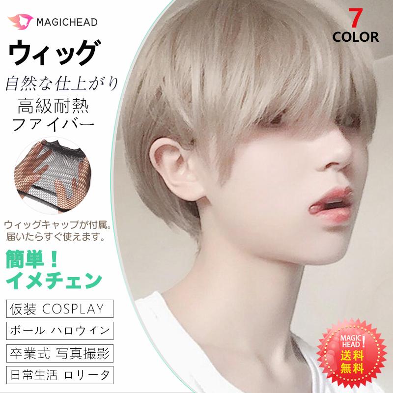 【1999円→実質1799円 P10利用! 11/19 23:59迄】ウィッグ 二次元斜め前髪短直髪かっこいい男女偽正太偽毛男女兼用灰色擬似頭皮整頂かつらカバー