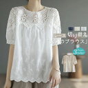 【100枚!10%COUPON→実質2862円 10/24まで】レース 切り替え tシャツ ブラウス 半袖 レディース シャツブラウス トップス 春 夏 ゆったり 大人 可愛い 森ガール 通勤 オフィス 着回し 刺・ レース トップス 透かし彫り 夏 サマー クルーネック カジュアル
