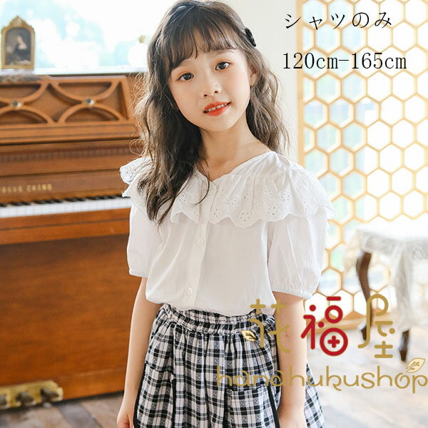 【コスパ最高！期間5倍積分！11/17まで】韓国子供服 女の子 シャツブラウス おしゃれ 夏服 お姫様 Vネック レース シャツ ガールズ スウィート ブラウス 誕生日 結婚式 夏着 小学生 トップス ブラウス ホワイト 通学 同窓会 撮影写真 120 130 140 キッズ
