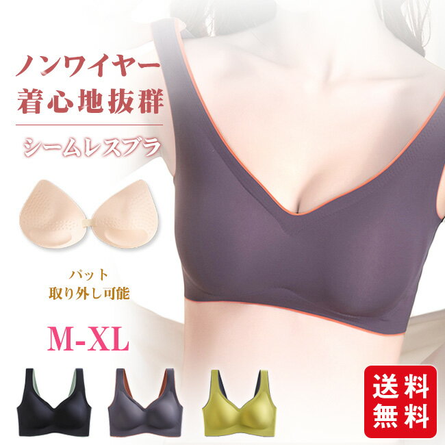 【2個でご購入200円OFF】ブラジャー 