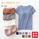 カップ付き 半袖 Tシャツ トップス レディース 大きいサイズ インナー 下着 無地 ストレッチ 伸縮性 通気性 肌着 ルームウエア ジムウエア ヨガウエア 部...