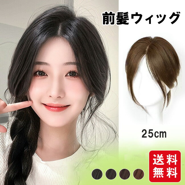 樂天商城 - ウィッグ 前髪ウィッグ 白髪かくし レディース エクステ 付け毛 ポイントウィッグ 女性 かつら 部分ウィッグ ワンタッチ
