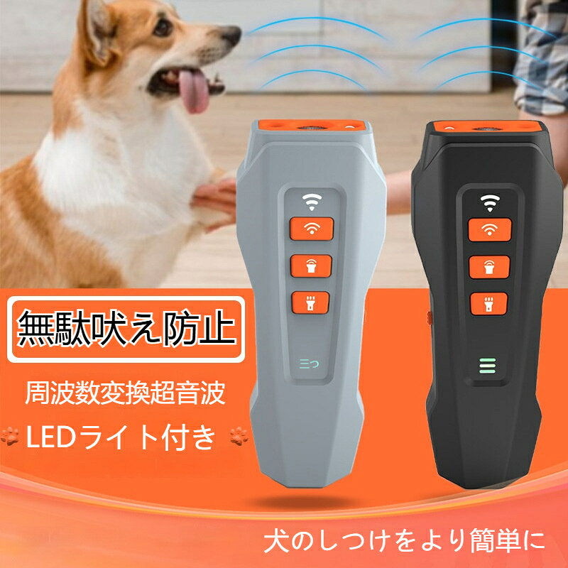 サンプル画像2