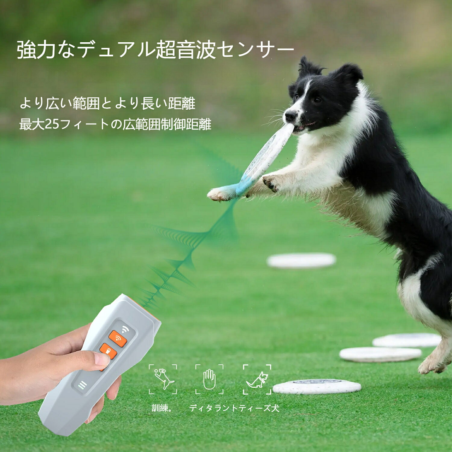 サンプル画像3