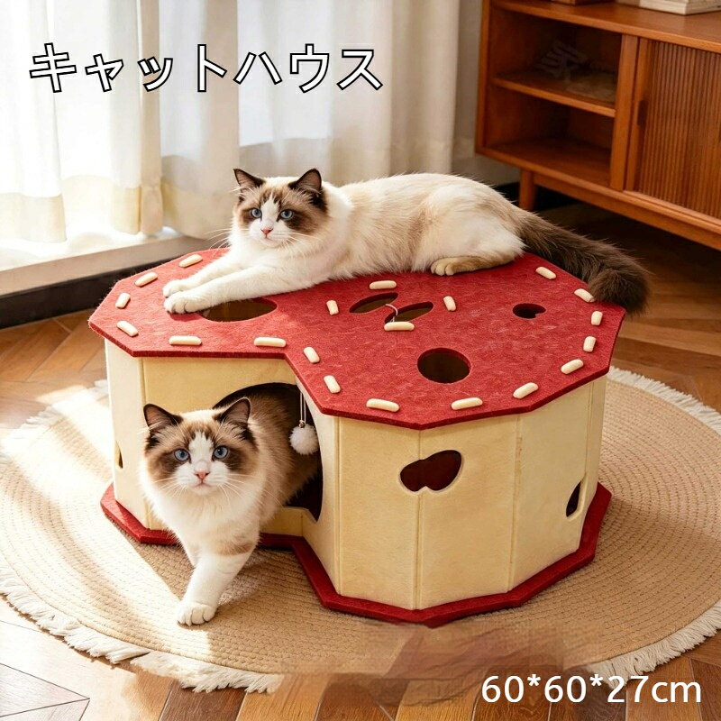 楽天市場】猫 ハウス りんごの通販