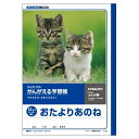 【1000円以上お買い上げで送料無料♪】かんがえる学習帳 おたよりあのね 12マス リーダー入り - メール便発送
