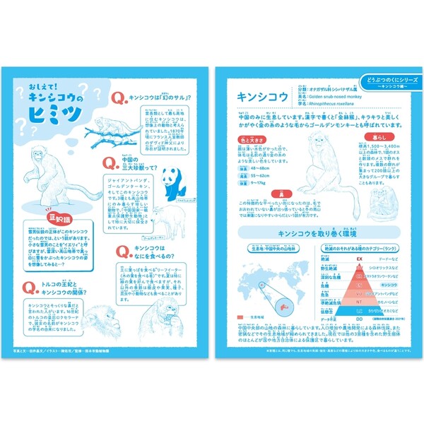 【1000円以上お買い上げで送料無料♪】ハーモニー学習帳 どうぶつのくに 国語 12行 HN-32 5冊セット B5 キンシコウ 熊本市動植物園 小学 3年 4年 ノート - メール便発送 clipps-10367572 Clips クリップス サンプル画像3