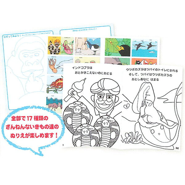 Clips クリップスの【1000円以上お買い上げで送料無料♪】ざんねんないきもの事典 B5 ぬりえ 塗り絵 カラーページ付 なぞってみよう 遊び トーヨー - メール便発送｜アングル2
