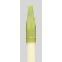 【1000円以上お買い上げで送料無料♪】寺西化学 ラッションペンNO.300 うぐいす M300-T19 - メール便発送