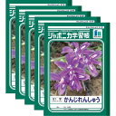【送料無料】ショウワノート ジャポニカ学習帳 かんじれんしゅう 91字 十字リーダー入り JL-49-1 5冊セット - メール便発送
