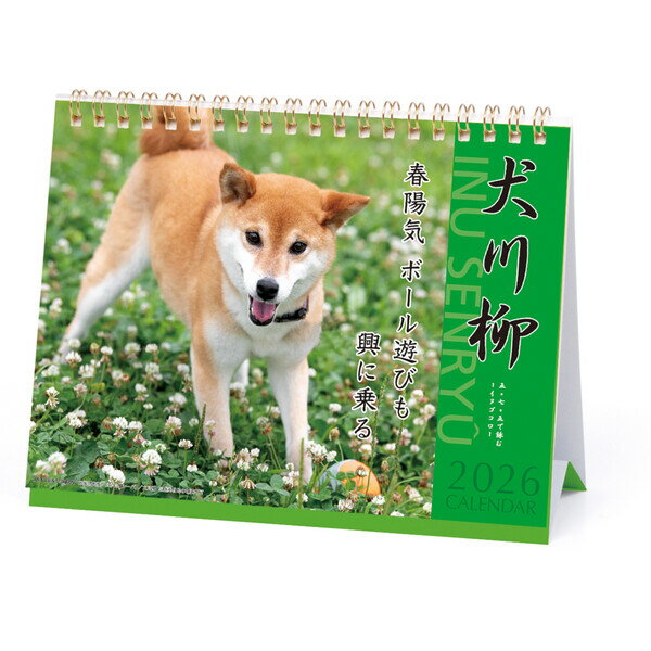 【1000円以上お買い上げで送料無料♪】2026年 カレンダー 卓上 犬川柳 写真 犬 柴 かわいい 癒し - メール便発送