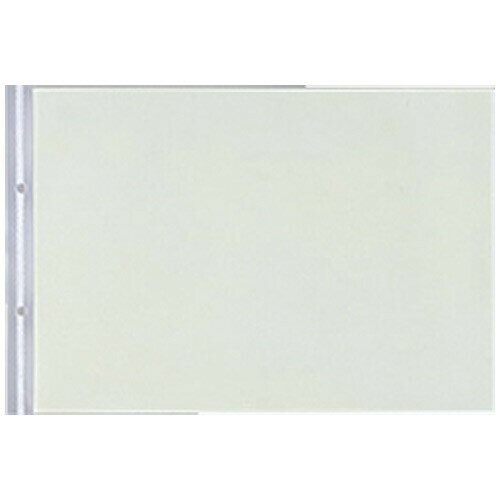 【1000円以上お買い上げで送料無料♪】LIHITLAB PPクリヤーポケット N-2016 A4E 2穴 10枚 - メール便発送