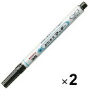 【1000円以上お買い上げで送料無料♪】ゼブラ 油性ペン おなまえマッキー 細字 黒 2本セット YYSS7-BK - メール便発送