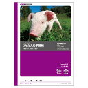 【1000円以上お買い上げで送料無料♪】かんがえる学習帳 社会 (5mmマス・リーダー入) - メール便発送