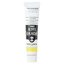 【1000円以上お買い上げで送料無料♪】ターナー アクリルガッシュ 20ml #10 パーマネント レモン 絵具 速乾 耐水 ツヤ消し マット イラスト - メール便発送