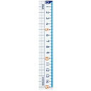 【1000円以上お買い上げで送料無料♪】クツワ STAD 算数定規 15cm HS15A - メール便発送