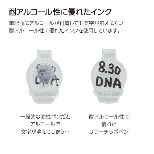 サンプル画像2
