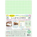 【1000円以上お買い上げで送料無料♪】共栄プラスチック 下敷き しっかりシタ字キ B5判 メロン - メール便発送