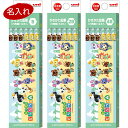 【1000円以上お買い上げで送料無料♪】名入れ 鉛筆 三菱鉛筆 あつまれ どうぶつの森 かきかた鉛筆 B/2B/4B 1ダース 12本入 六角軸 入学 進級 - メール便発送