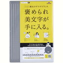 【送料無料】大人の魔法のザラザラ下じき A4 グレー 方眼罫 両面 美文字 シャープペンシル ボールペン 鉛筆 手紙 手帳 ノート レイメイ藤井 - メール便発送