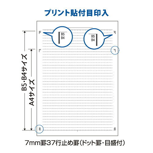 【送料無料】まとめ買い プリントが貼れるA4サイズのノート カレッジノート ネイビーブルー 3冊セット - メール便発送 clipps-10375259 Clips クリップス サンプル画像2