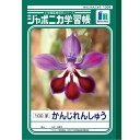 【1000円以上お買い上げで送料無料♪】ショウワノート ジャポニカ学習帳 かんじれんしゅう 100字 JL-50 - メール便発送