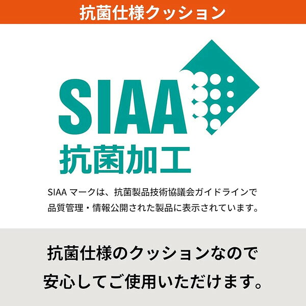 Clips クリップスの【1000円以上お買い上げで送料無料♪】スワンズ 抗菌シリコン耳せん ブルー 大人用 耳栓 スイミング ジム プール 水泳 習い事 専用ケース付き - メール便発送｜アングル3