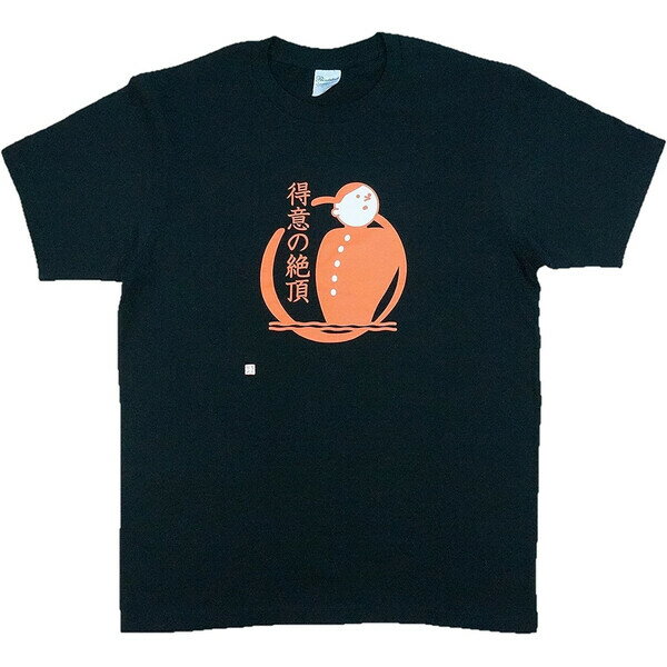 【送料無料】Tシャツ チャート式復刻版 得意の絶頂 Lサイズ 身長目安170cm〜 綿100 キッズ レディース プレゼント 数学 数研出版 - メール便発送