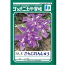【1000円以上お買い上げで送料無料♪】ショウワノート ジャポニカ学習帳 かんじれんしゅう 91字 十字リーダー入り JL-49-1 - メール便発送