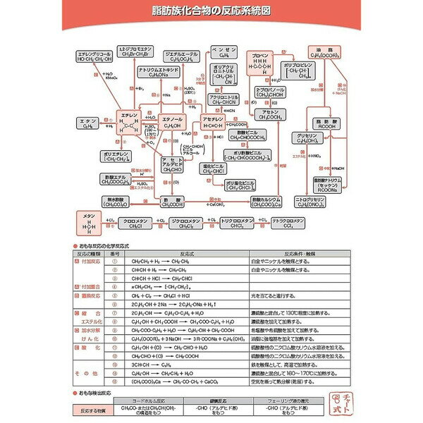 【1000円以上お買い上げで送料無料♪】下敷き 有機化学の反応系統図 B5 両面 高校 テスト 勉強 チャート式 数研出版 - メール便発送のサムネイル