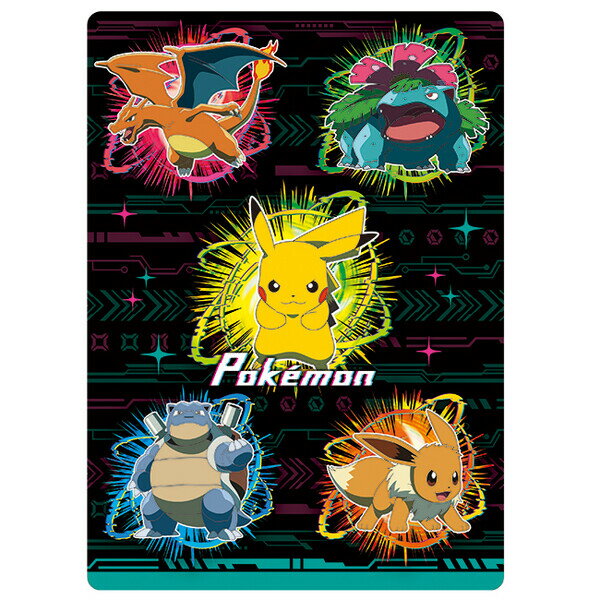 Rakuten - 【1000円以上お買い上げで送料無料♪】ポケットモンスター 30周年 B5 下敷き A柄 リザードン フシギバナ 小学生 勉強 授業 人気 かっこいい ショウワノート - メール便発送