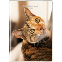 【送料無料】猫川柳 2026年 手帳 マンスリー B6 月間ブロック 10月始まり カバー付 ねこ ネコ ぬこ 癒し あるある のんびり かわいい - メール便発送