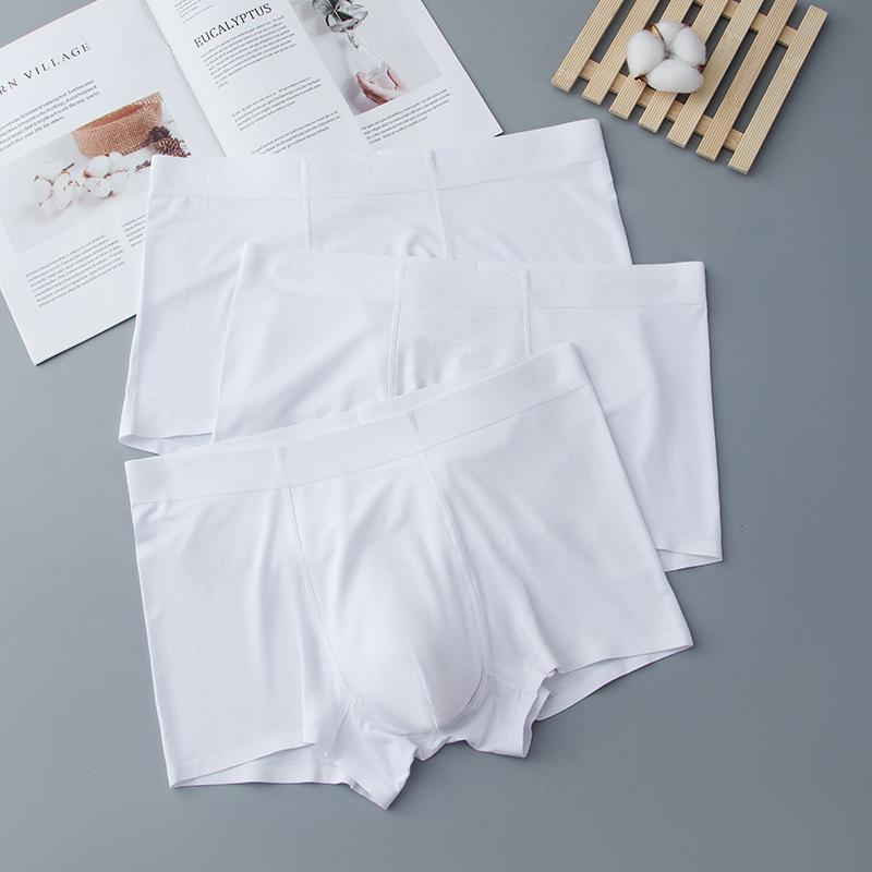 パンツ 男性用 トランクス モダール 無縫製 通気 60番手 白 グレー 青 黒 赤 ピンク系