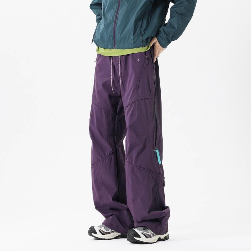 パンツ メンズ アウトドア 山系 カーゴパンツ 登山 スポーツ 高機能 カジュアル 深グレー 紫 M L XL 2XL 3XL