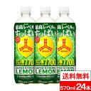 【 送料無料 】【 1ケース 】三ツ矢スーパーストロングレモン 570ml 24本 三ツ矢サイダー 三ツ矢 レモン ストロング クエン酸 熱中症対策 炭酸飲料 ペットボトル