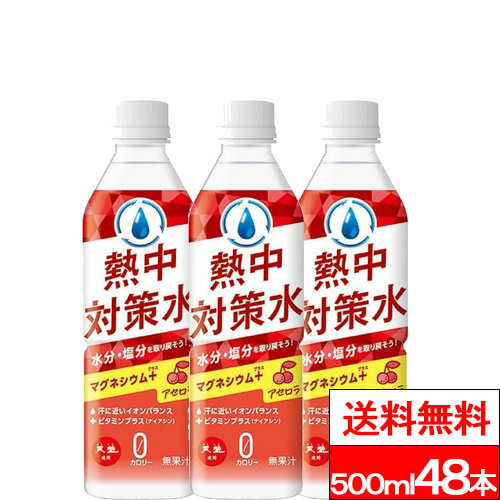 【 送料無料 】赤穂化成 熱中対策水アセロラ味 500ml 24本×2箱（48本） 水分補給 塩分補給 クエン酸 熱中症対策