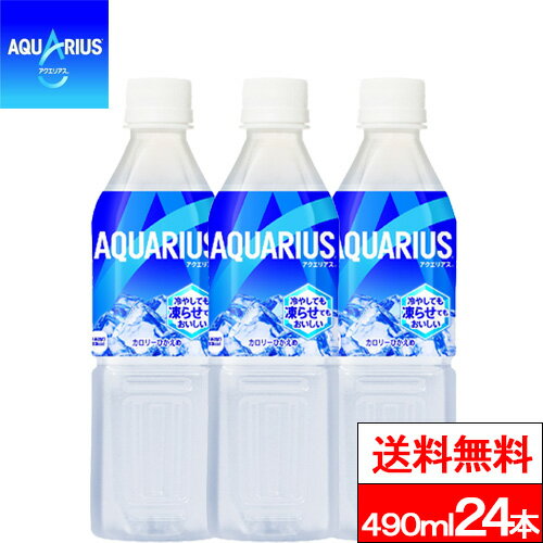 ySzΉzy1P[XzyzyRJER[zANGAX Ⓚ 490ml 24{ X|[chN X|[c ⋋ ~l ybg{g aquarius RJR[