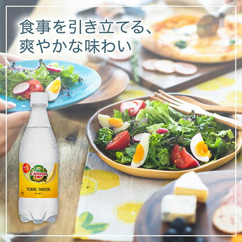 【 全国配送対応 】【 送料無料 】【 コカ・コーラ 】カナダドライ トニックウォー...
