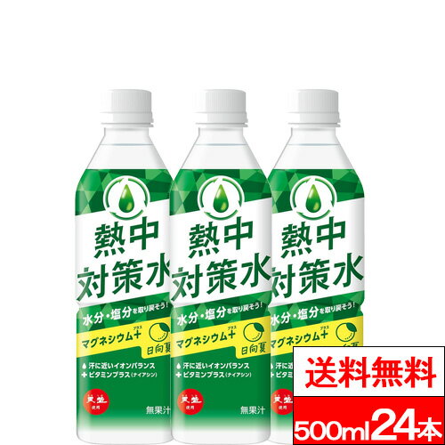 【送料無料】【1ケース】赤穂化成 熱中対策水 日向夏味 500ml 24本 水分補給 塩分補給 クエン酸 熱中症..