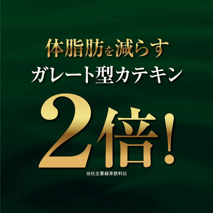 【 送料無料 】【 1ケース 】 伊藤園 おーいお茶 濃い茶 600ml 24本 機能性食品 ま...