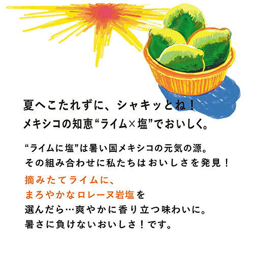 【 送料無料 】【 1ケース 】 キリン 世界のKitchenから ライムソルト 500ml 24本 ...
