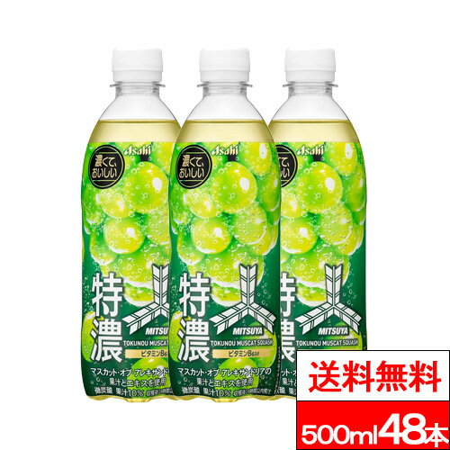【送料無料】三ツ矢特濃マスカットスカッシュ 500ml 48本 三ツ矢サイダー 特濃 マスカット マスカットオブアレキサンドリア サイダー 炭酸飲料 ペットボトル